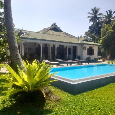 Tranquility Guest House هيكادوفا المظهر الخارجي الصورة