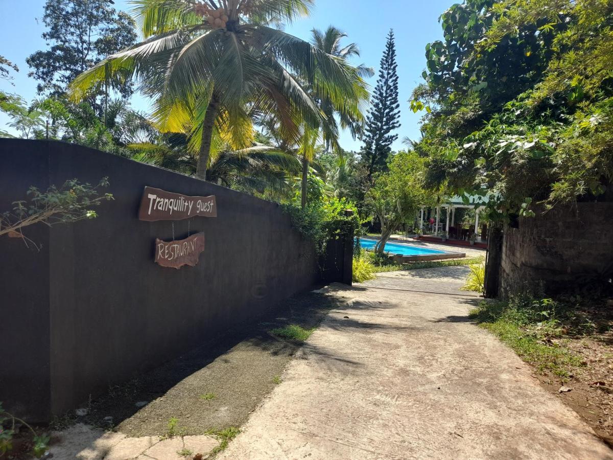 Tranquility Guest House هيكادوفا المظهر الخارجي الصورة
