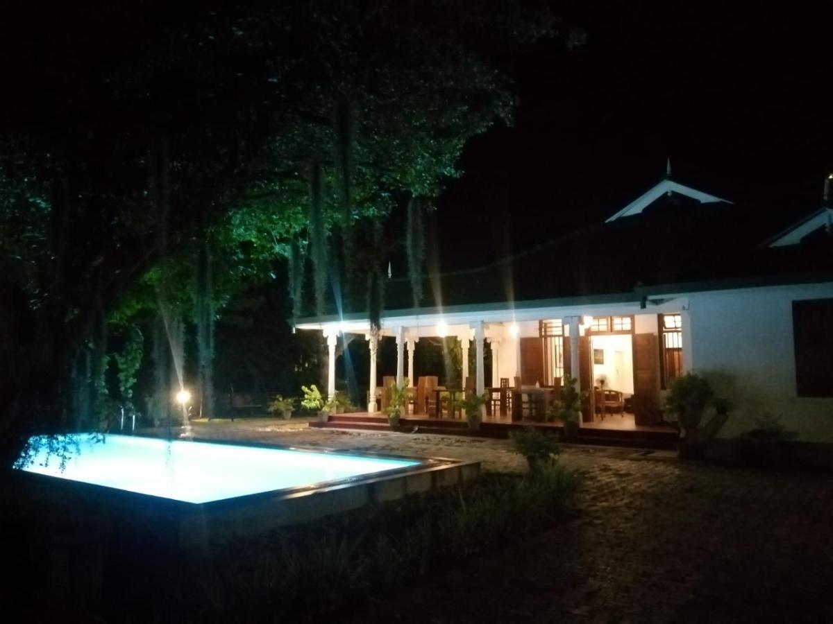 Tranquility Guest House هيكادوفا المظهر الخارجي الصورة