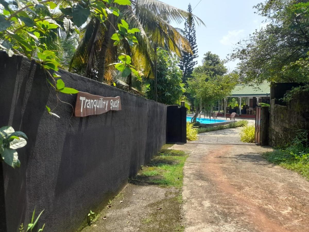 Tranquility Guest House هيكادوفا المظهر الخارجي الصورة