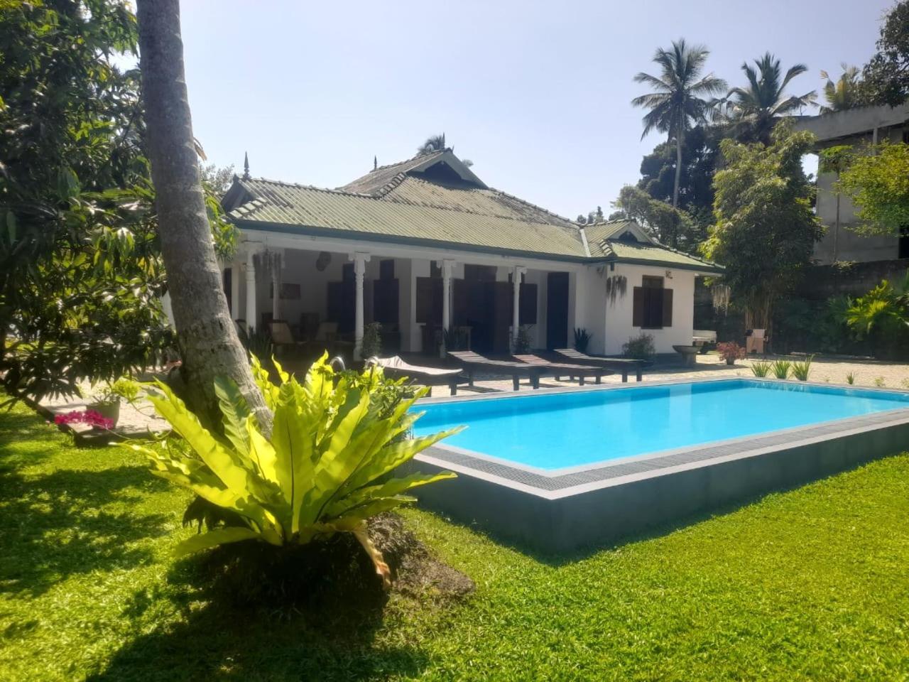 Tranquility Guest House هيكادوفا المظهر الخارجي الصورة