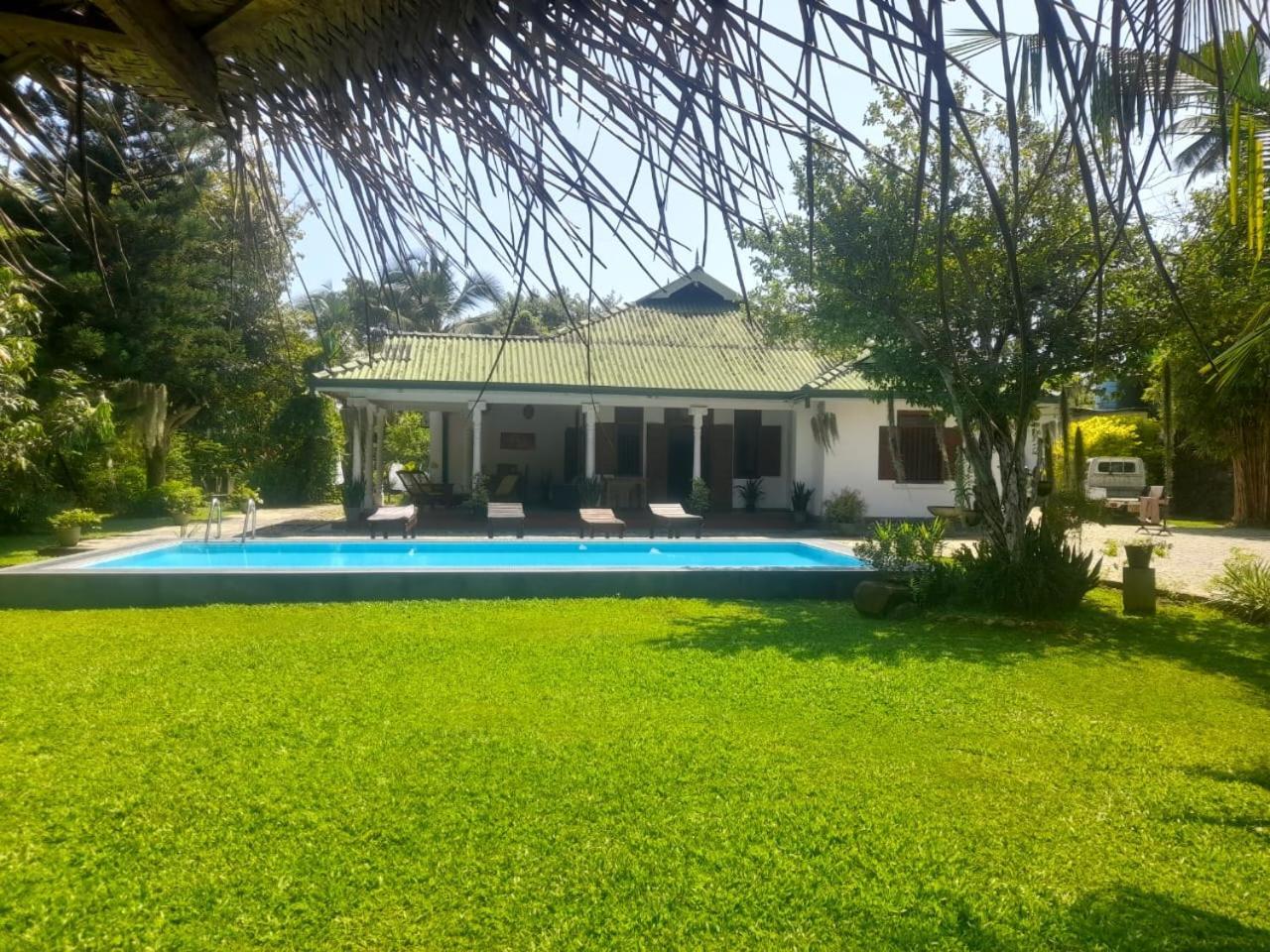 Tranquility Guest House هيكادوفا المظهر الخارجي الصورة