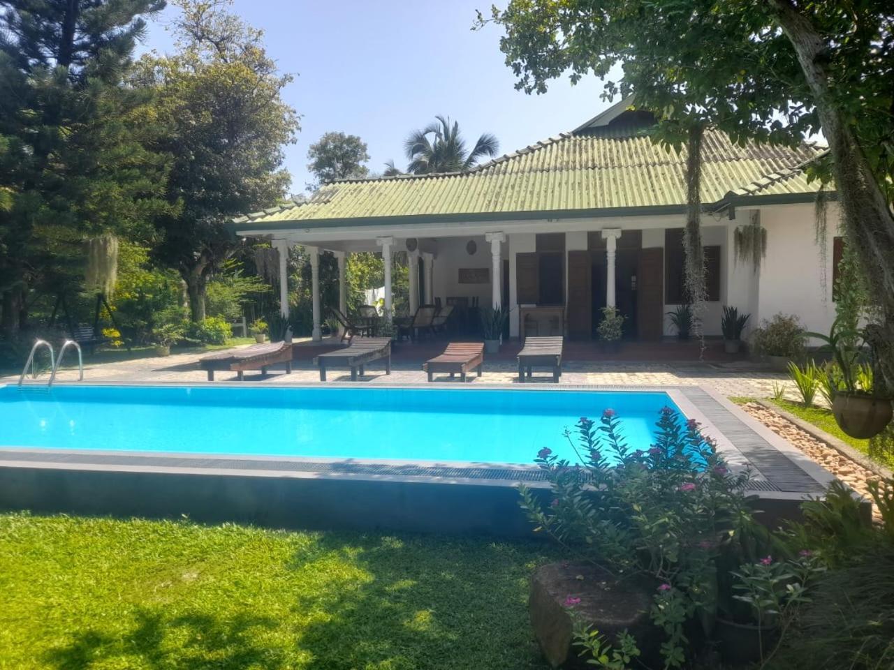 Tranquility Guest House هيكادوفا المظهر الخارجي الصورة