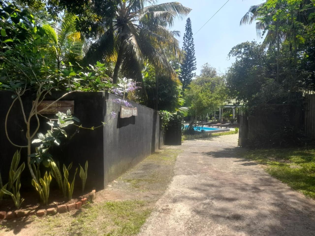 Tranquility Guest House هيكادوفا المظهر الخارجي الصورة