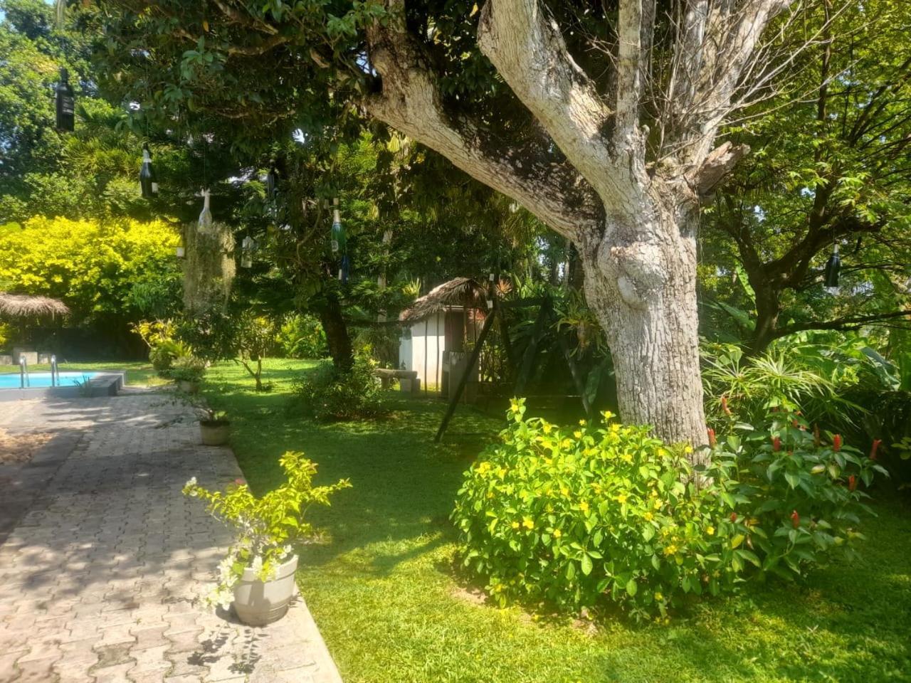 Tranquility Guest House هيكادوفا المظهر الخارجي الصورة