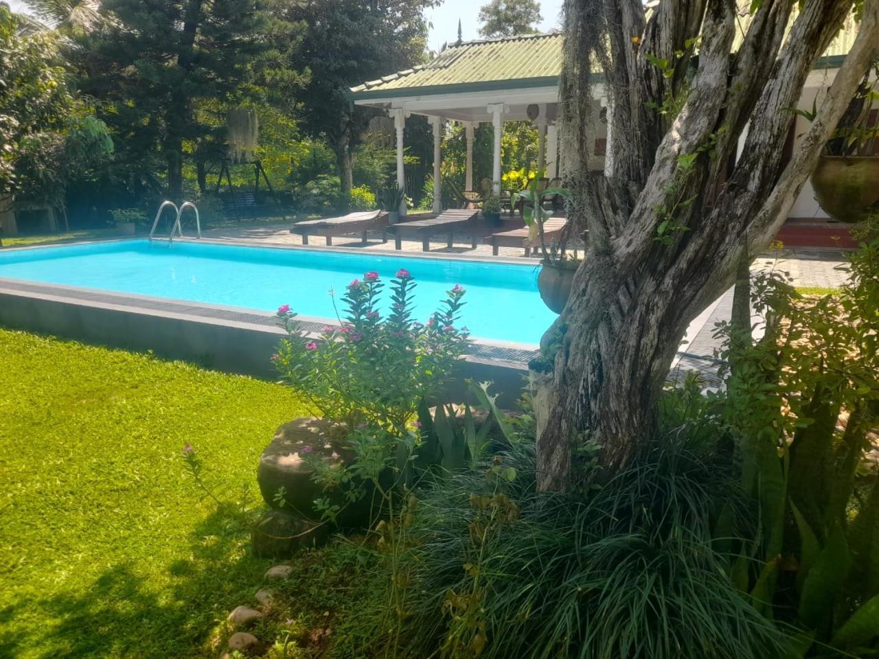 Tranquility Guest House هيكادوفا المظهر الخارجي الصورة