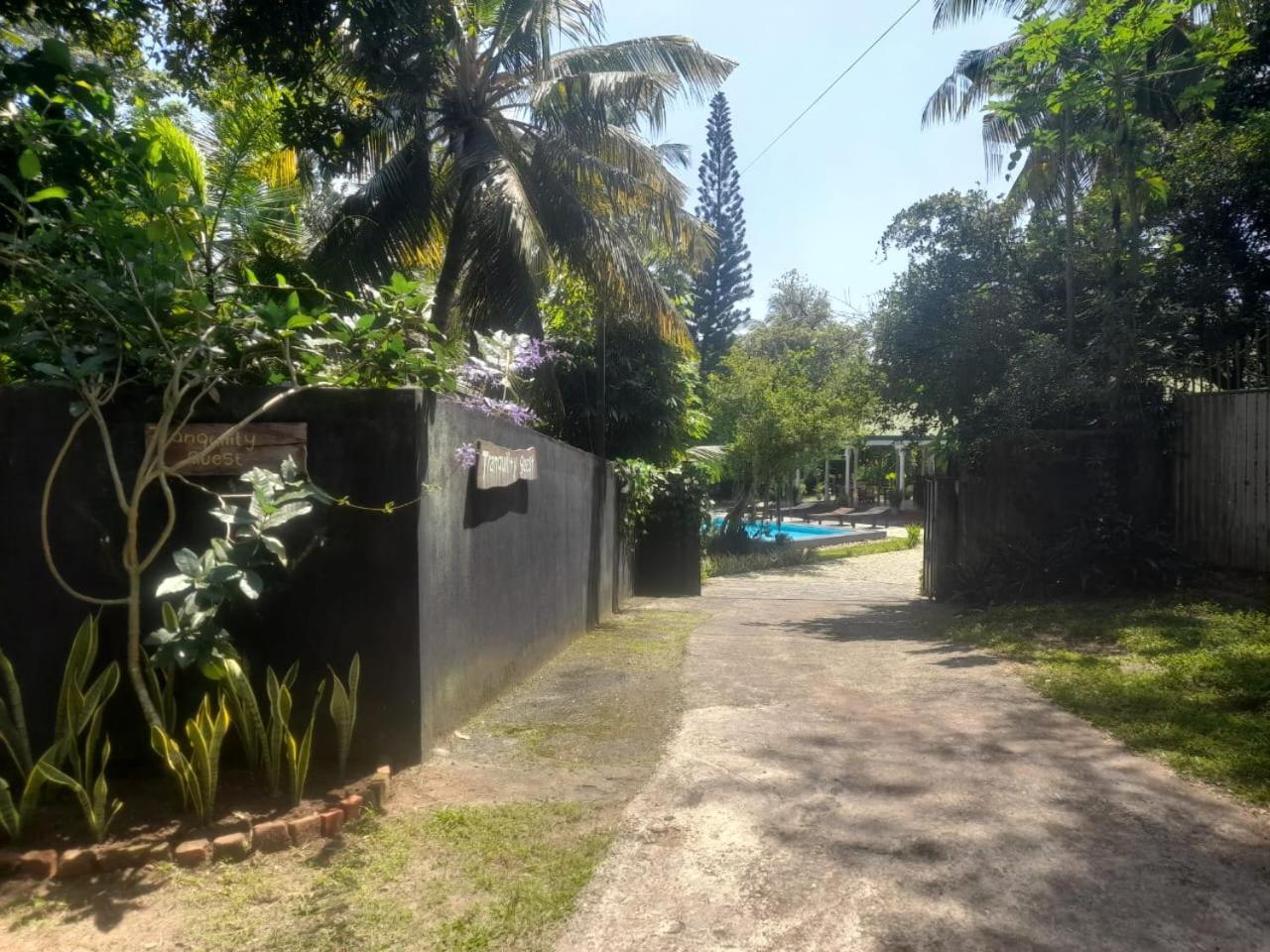 Tranquility Guest House هيكادوفا المظهر الخارجي الصورة