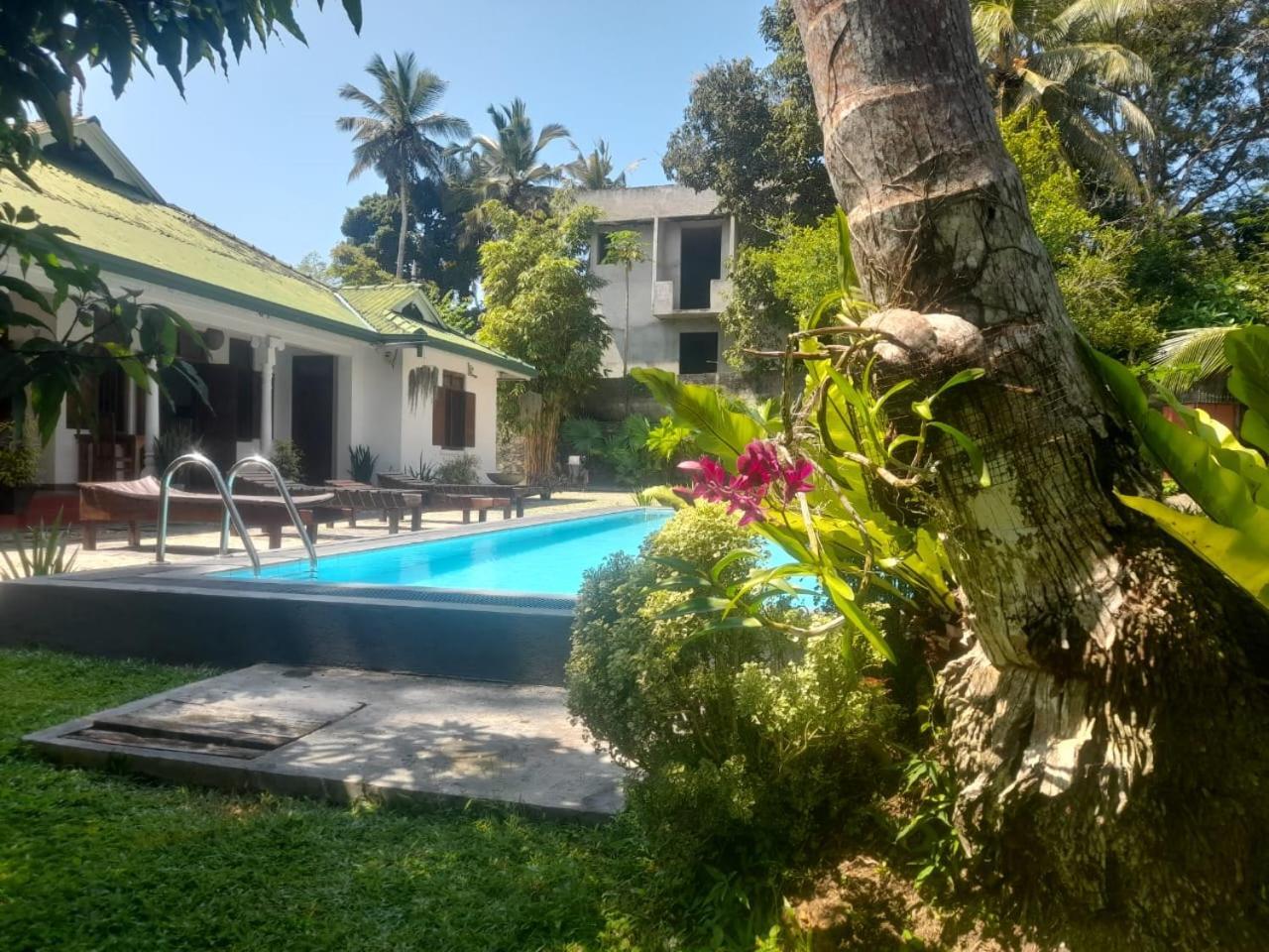 Tranquility Guest House هيكادوفا المظهر الخارجي الصورة