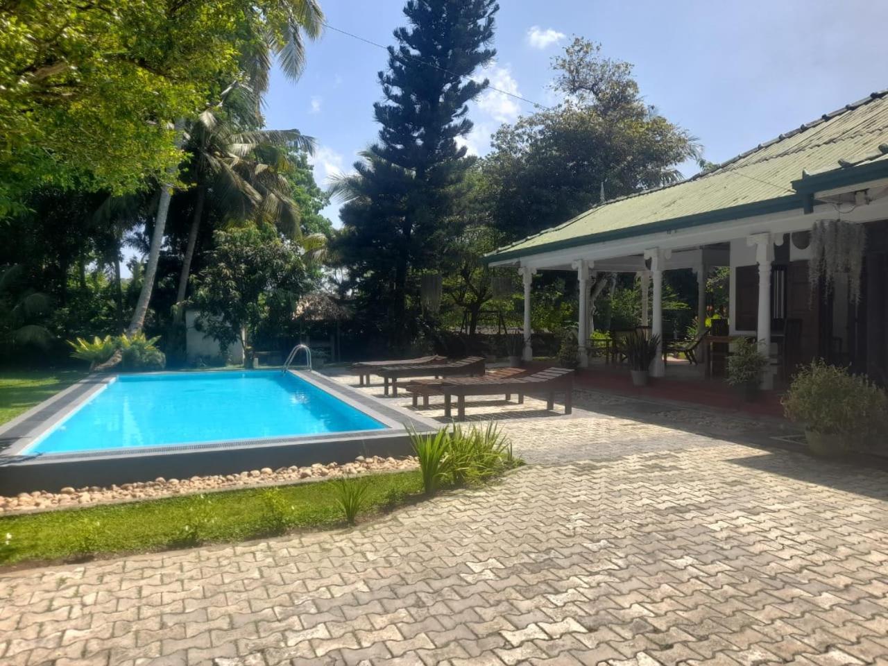 Tranquility Guest House هيكادوفا المظهر الخارجي الصورة