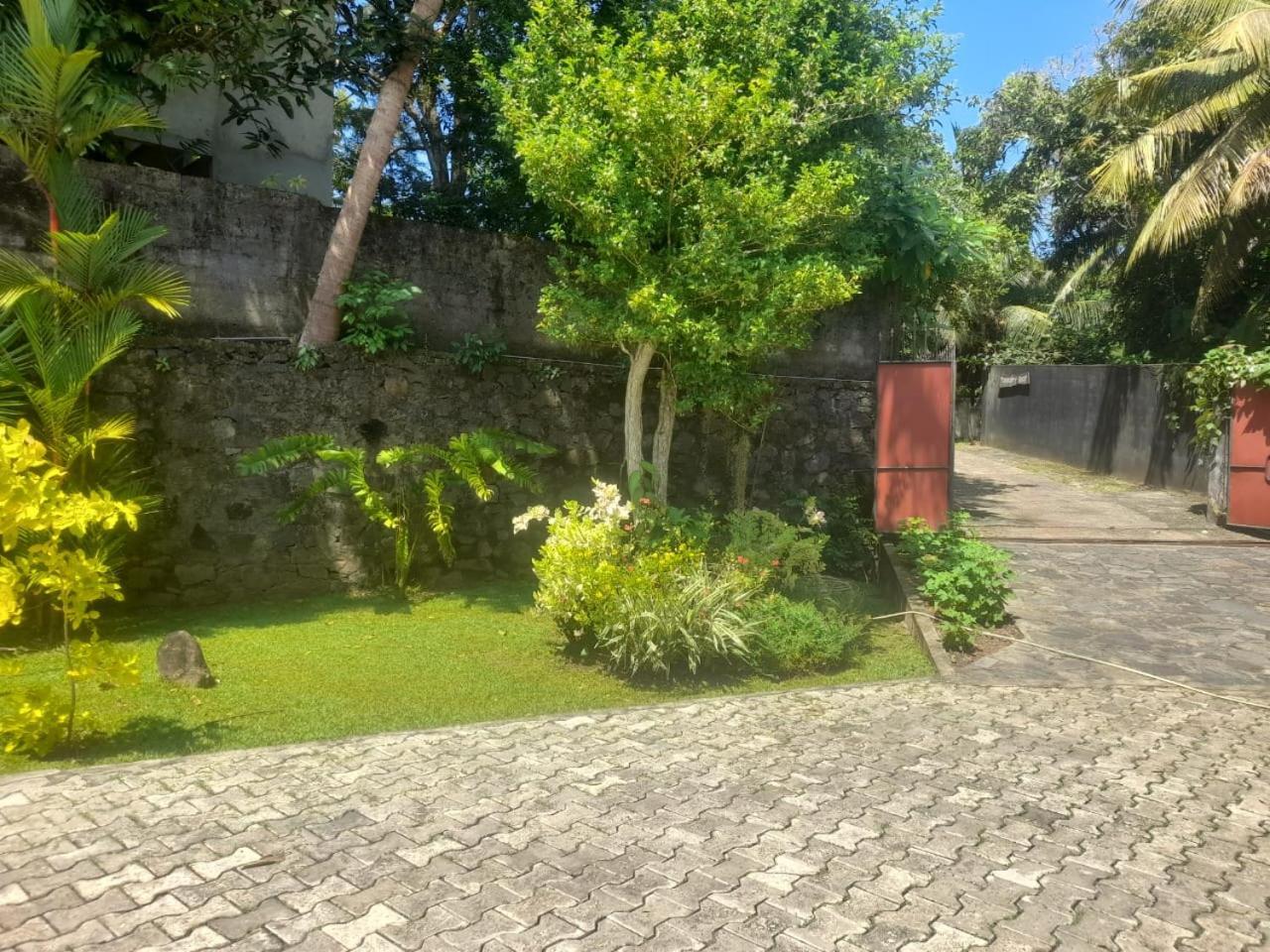 Tranquility Guest House هيكادوفا المظهر الخارجي الصورة