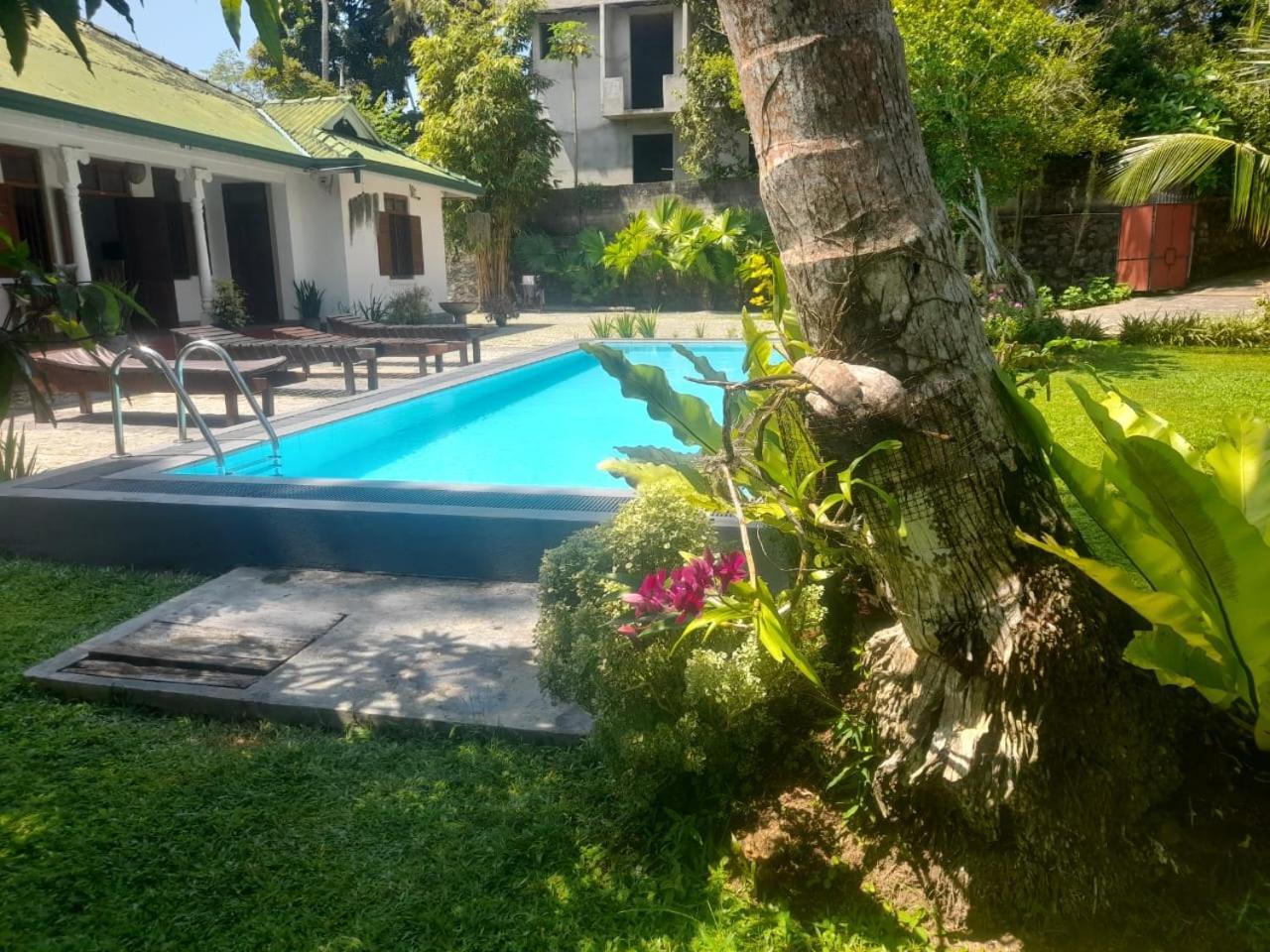 Tranquility Guest House هيكادوفا المظهر الخارجي الصورة