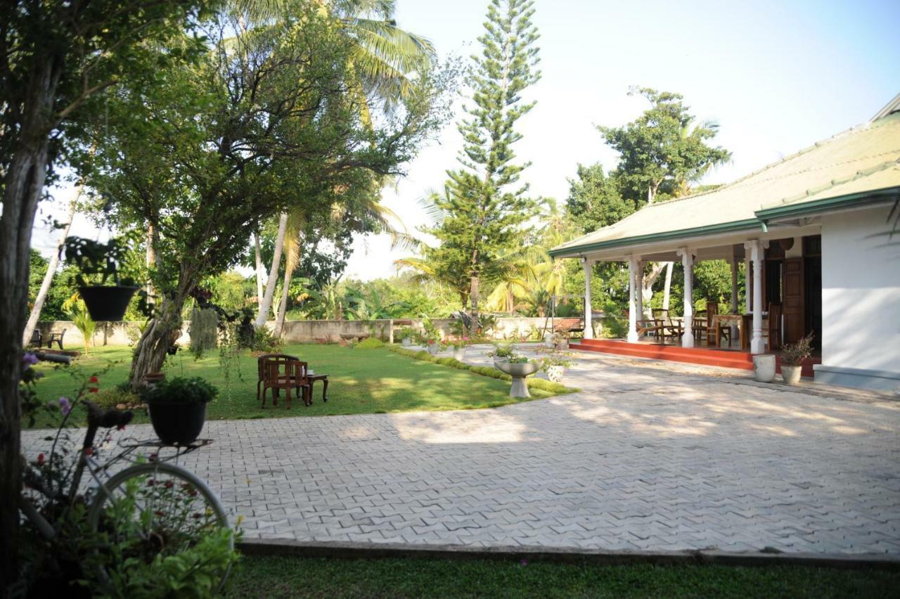Tranquility Guest House هيكادوفا المظهر الخارجي الصورة