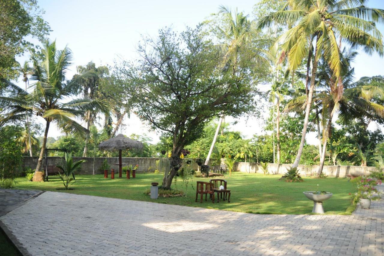 Tranquility Guest House هيكادوفا المظهر الخارجي الصورة